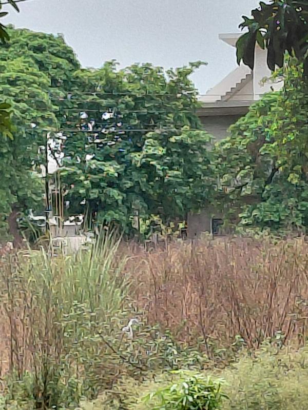  Residential Plot 206 Sq. Meter for Sale in Ashiyana Colony, Moradabad
