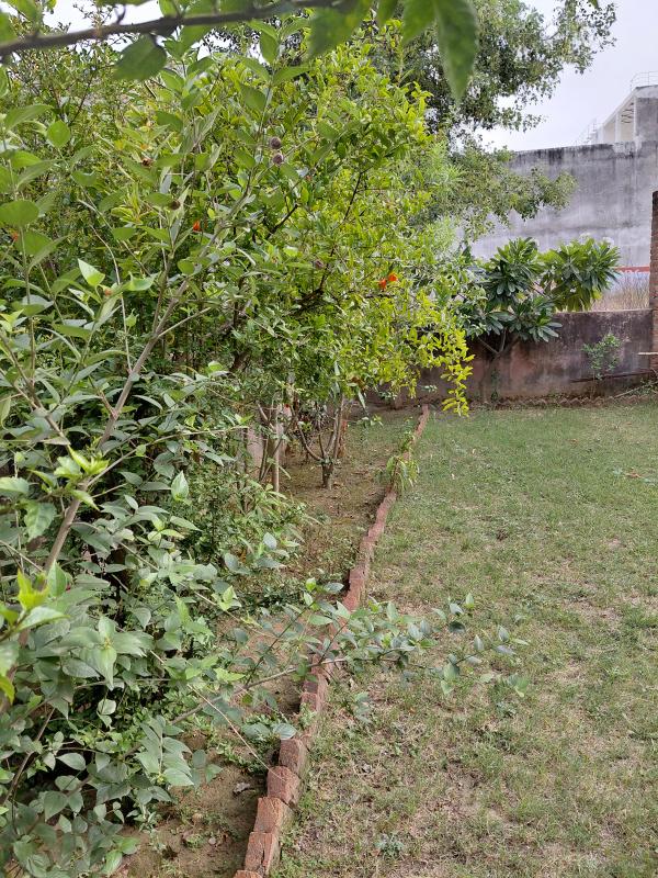  Residential Plot 200 Sq. Meter for Sale in Ashiyana Colony, Moradabad