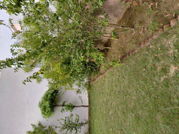  Residential Plot for Sale in New Moradabad