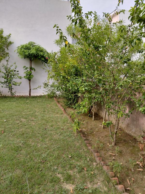 Residential Plot 240 Sq. Meter for Sale in New Moradabad