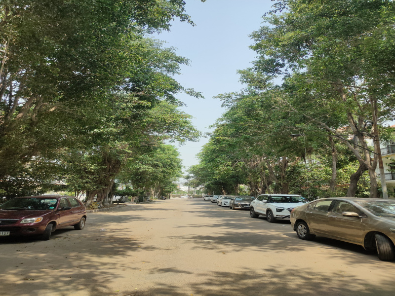 Sector 115, Mohali photo 4