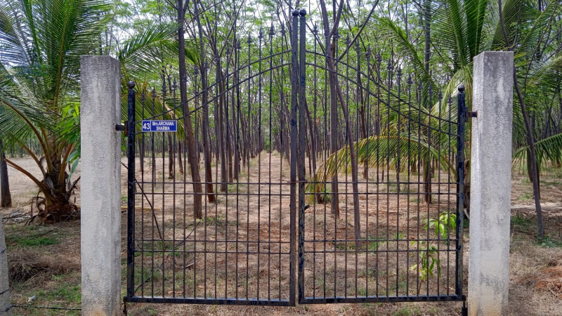  Agricultural Land 1 Acre for Sale in Gulzarpet, Anantapur