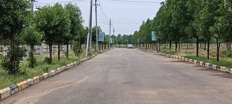  Residential Plot 183 Sq. Yards for Sale in Block G Gachibowli, Hyderabad