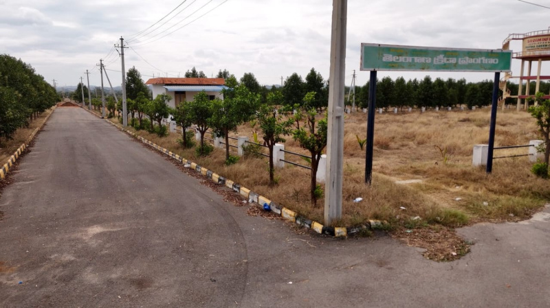  246 Sq. Yards Residential Plot for Sale in Yacharam Mandal, Hyderabad