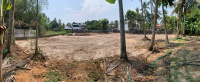  Residential Plot for Sale in Alleppey, Alappuzha