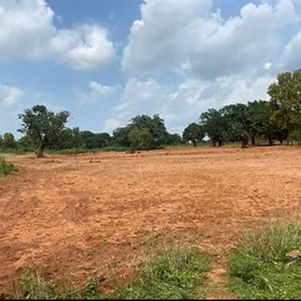  1800 Sq.ft. Residential Plot for Sale in Gopalpur, Berhampur