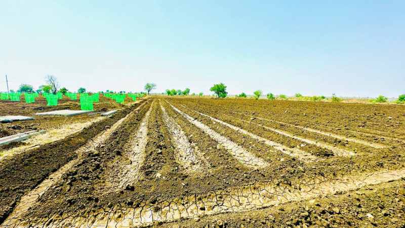  Residential Plot 605 Sq. Yards for Sale in Narayankhed, Sangareddy