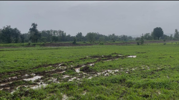  Industrial Land for Sale in Bardoli, Surat