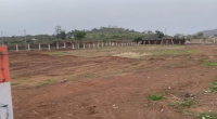  Industrial Land for Sale in Songadh, Tapi