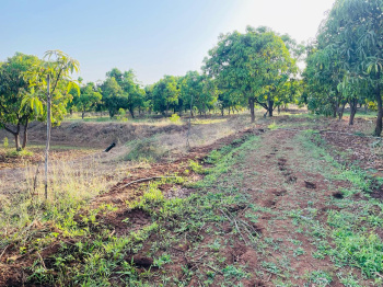  Agricultural Land for Sale in Vyara, Tapi