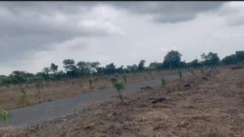  Agricultural Land for Sale in Vyara, Tapi