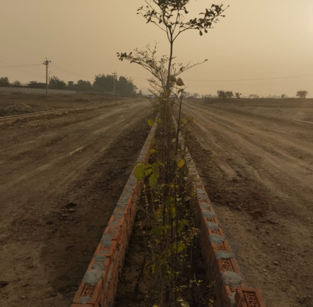  1000 Sq.ft. Residential Plot for Sale in Deo, Aurangabad