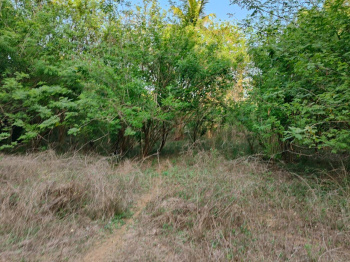  Residential Plot for Sale in Chitpady, Udupi
