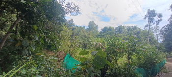  Agricultural Land for Sale in Shivalli, Udupi