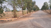  Residential Plot for Sale in Bhanur, Hyderabad