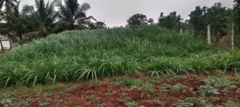 Agricultural Land for Sale in Peedampalli, Coimbatore
