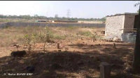  Commercial Land for Sale in Mopka, Bilaspur