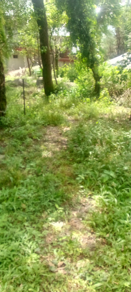  Commercial Land 784 Sq. Yards for Sale in Gharoh, Dharamsala