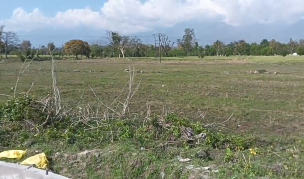  Commercial Land 36864 Sq. Meter for Sale in Matour, Kangra