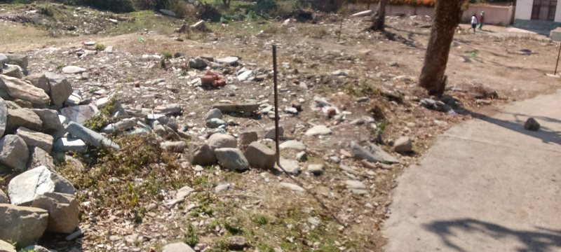  60 Marla Residential Plot for Sale in Yol Cantt, Dharamsala