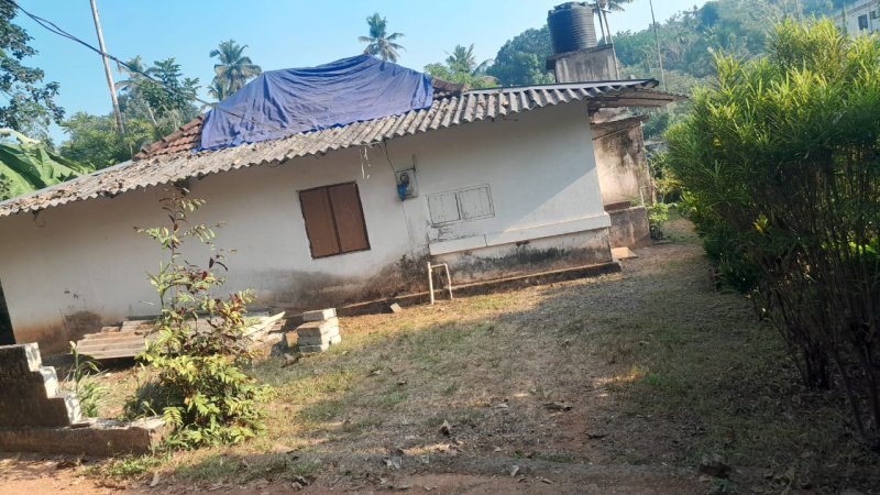  Residential Plot 8 Cent for Sale in Kolenchery, Ernakulam