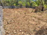  Residential Plot for Sale in Akathethara, Palakkad