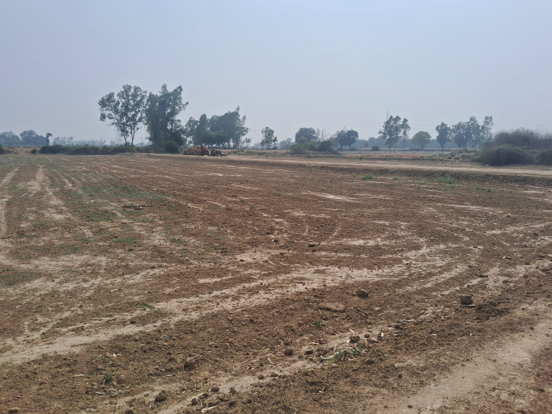  Residential Plot 800 Sq.ft. for Sale in Satrikh, Barabanki