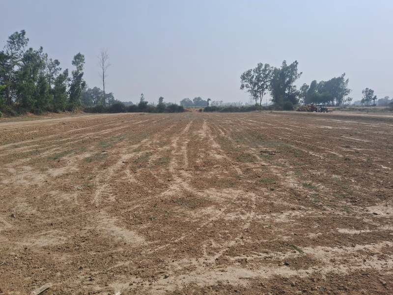  Residential Plot 800 Sq.ft. for Sale in Satrikh, Barabanki
