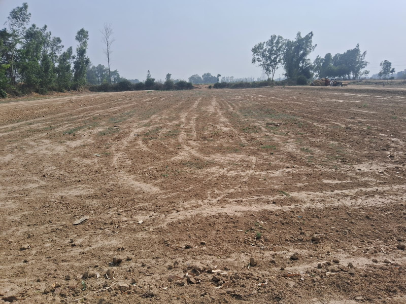  Residential Plot 800 Sq.ft. for Sale in Satrikh, Barabanki