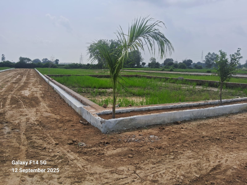  500 Sq.ft. Residential Plot for Sale in Chinhat Satrik Road, Lucknow