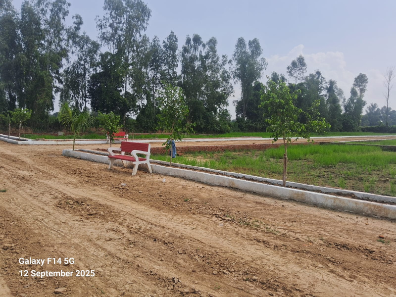  800 Sq.ft. Residential Plot for Sale in Satrikh, Barabanki