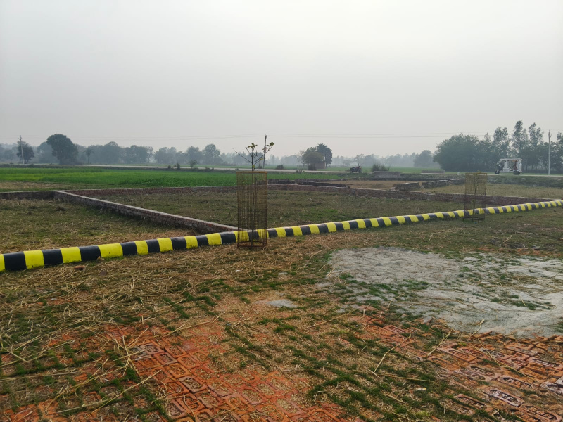  1250 Sq.ft. Residential Plot for Sale in Nagram Road, Nagram Road, Lucknow