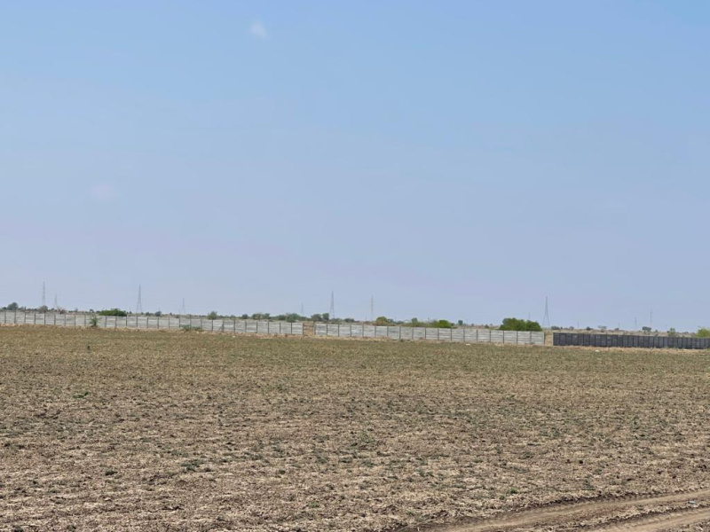  3969 Sq.ft. Residential Plot for Sale in Dholera, Ahmedabad
