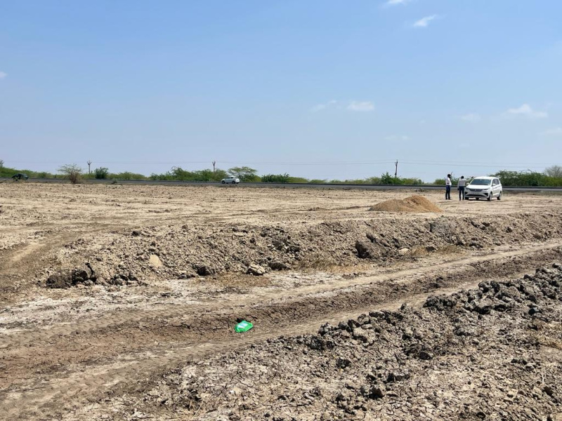  1656 Sq.ft. Residential Plot for Sale in Dholera, Ahmedabad