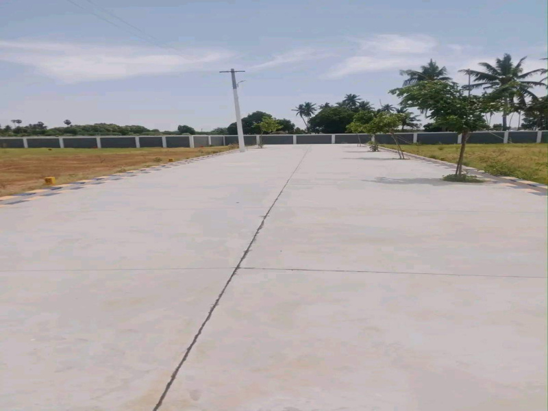  Residential Plot 1200 Sq.ft. for Sale in Panjapur, Tiruchirappalli