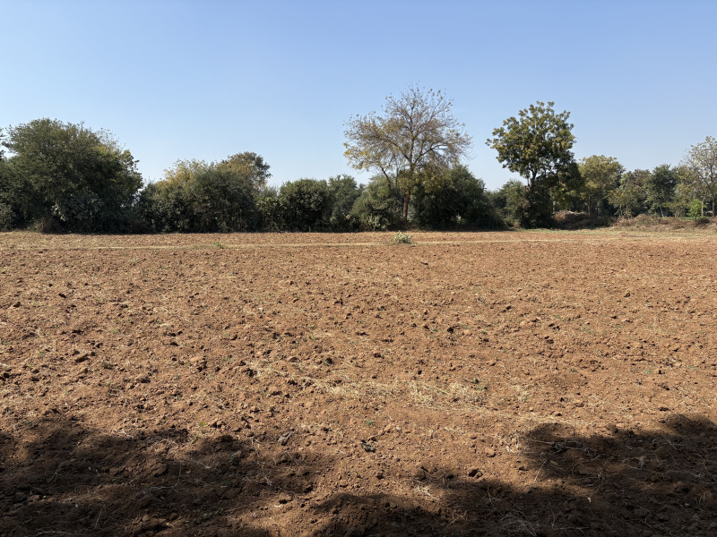  Agricultural Land 54 Bigha for Sale in Boriavi, Anand