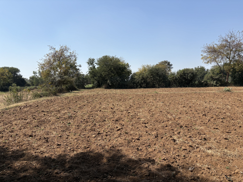  Agricultural Land 54 Bigha for Sale in Boriavi, Anand
