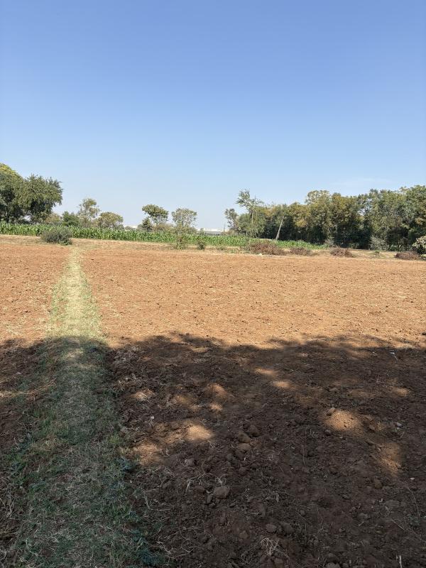  Agricultural Land 54 Bigha for Sale in Boriavi, Anand