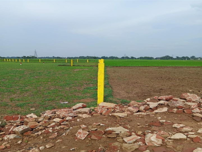  Residential Plot 1200 Sq.ft. for Sale in Bihta, Patna