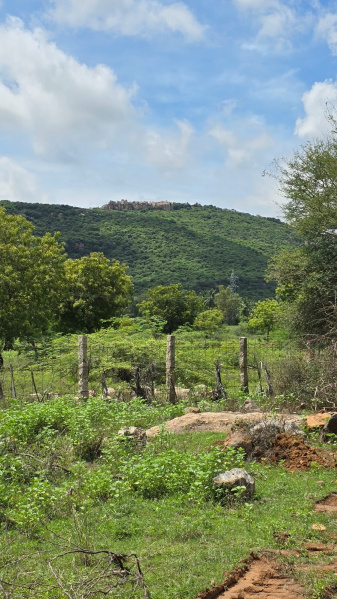  Agricultural Land 25 Cent for Sale in Kamarajar Salai, Madurai