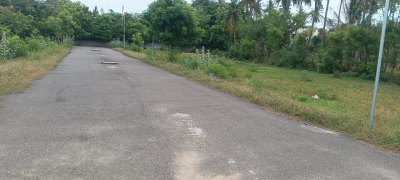  Commercial Land 2000 Sq.ft. for Sale in Kalavasal, Madurai