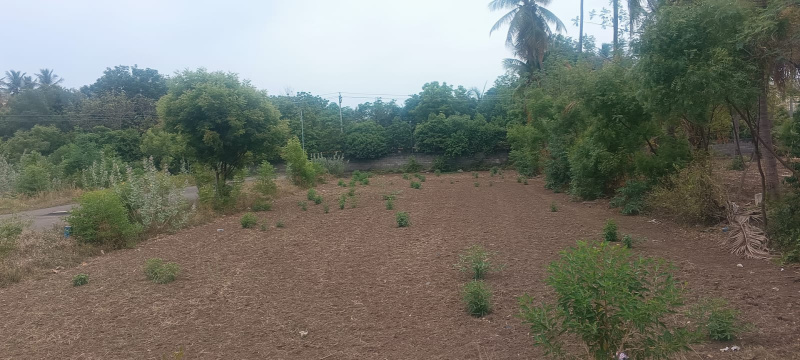  Residential Plot 5220 Sq.ft. for Sale in Kochadai, Madurai