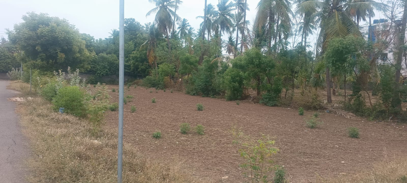  Residential Plot 2700 Sq.ft. for Sale in Kalavasal, Madurai