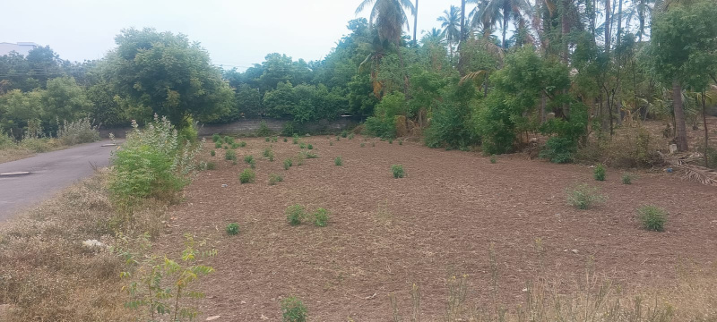  Residential Plot 2700 Sq.ft. for Sale in Kalavasal, Madurai