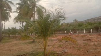  Agricultural Land for Sale in Kalavasal, Madurai