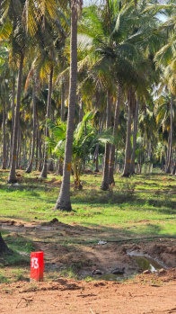  Agricultural Land for Sale in Kochadai, Madurai