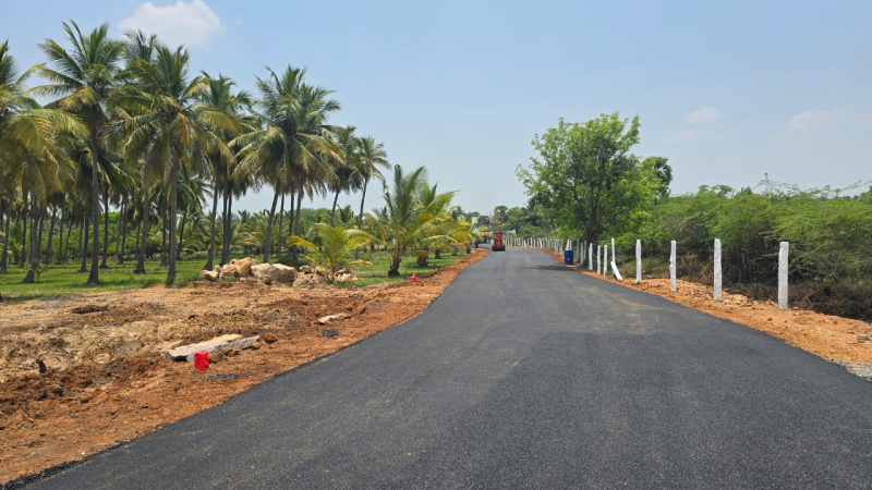  10904 Sq.ft. Agricultural/Farm Land for Sale in Kochadai, Madurai