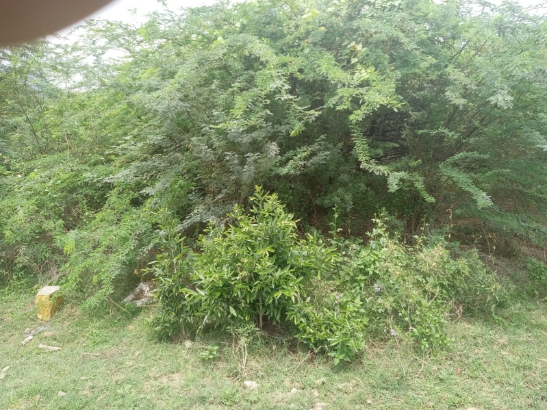  Residential Plot 2048 Sq.ft. for Sale in Ussoor, Vellore