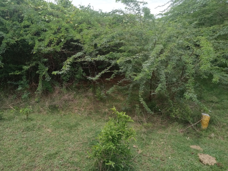  Residential Plot 2048 Sq.ft. for Sale in Ussoor, Vellore