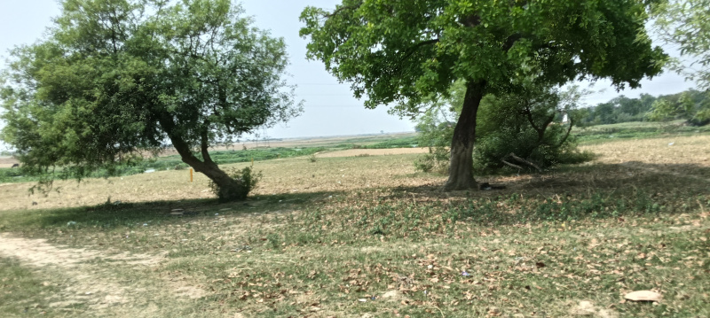  Residential Plot 1000 Sq.ft. for Sale in Rajendra Nagar, Gorakhpur